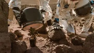 Image via Interesting Engineering