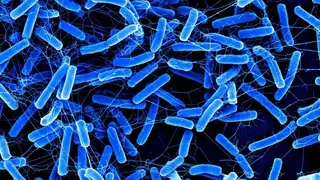 Image via SciTechDaily