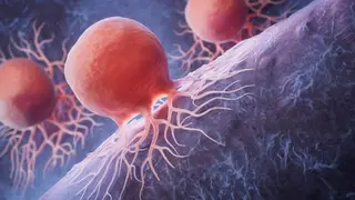 Image via SciTechDaily