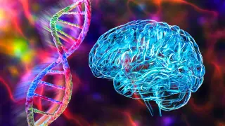 Image via ScienceDaily