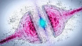 Image via SciTechDaily