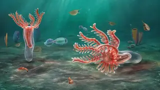 Image via Sci.News