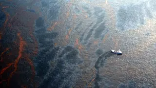 Image via Inside Climate News