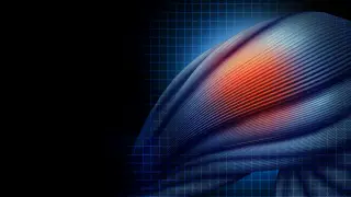 Image via ScienceDaily