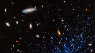 Image via ScienceDaily