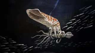 Image via ScienceDaily