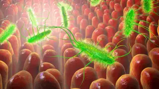 Image via ScienceDaily