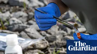 Image via The Guardian