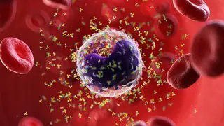 Image via MedPage Today