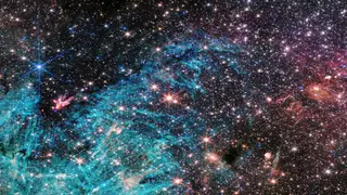 Image via Live Science