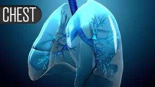 Image via MedPage Today