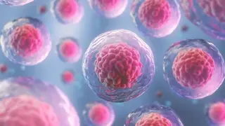 Image via SciTechDaily