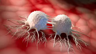 Image via SciTechDaily