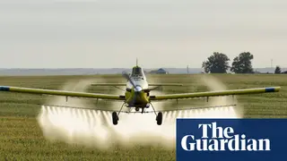 Image via The Guardian