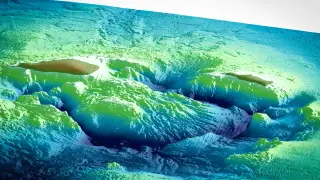 Image via ScienceDaily