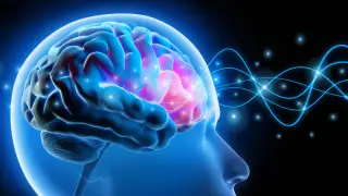 Image via ScienceDaily