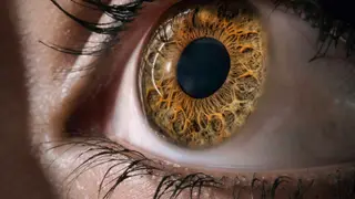 Image via Psychology Today