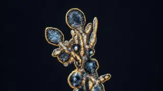 Image via SciTechDaily