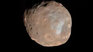 Image via Scientific American