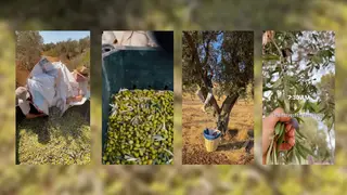Image via France 24