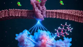 Image via SciTechDaily