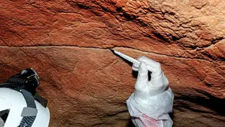 Image via SciTechDaily