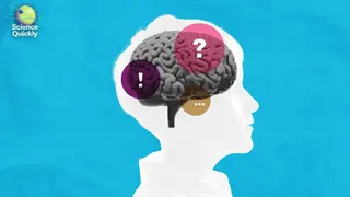 Image via Scientific American