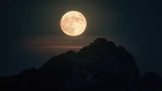 Image via Live Science