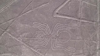 Image via Live Science
